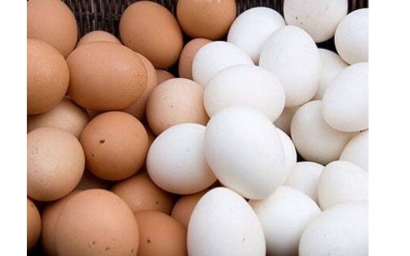  أسعار البيض اليوم  في أسواق مصر